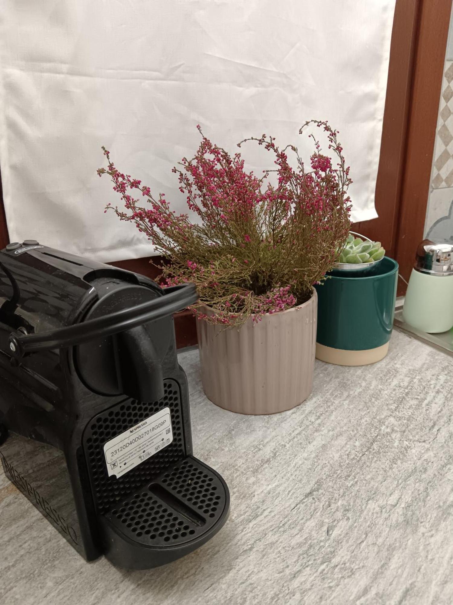 Casa Petri Home Spa باليرمو المظهر الخارجي الصورة